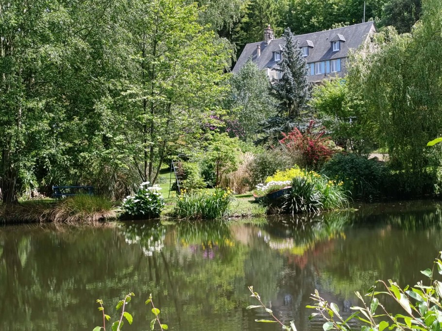 Pond