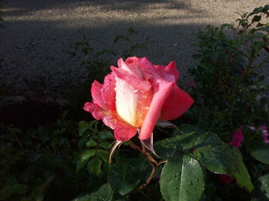 Photo n° 20 of the location