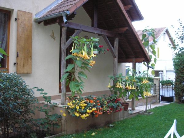 Photo n° 6 de la location