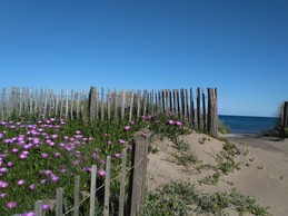 Bezombes Marie-Claude