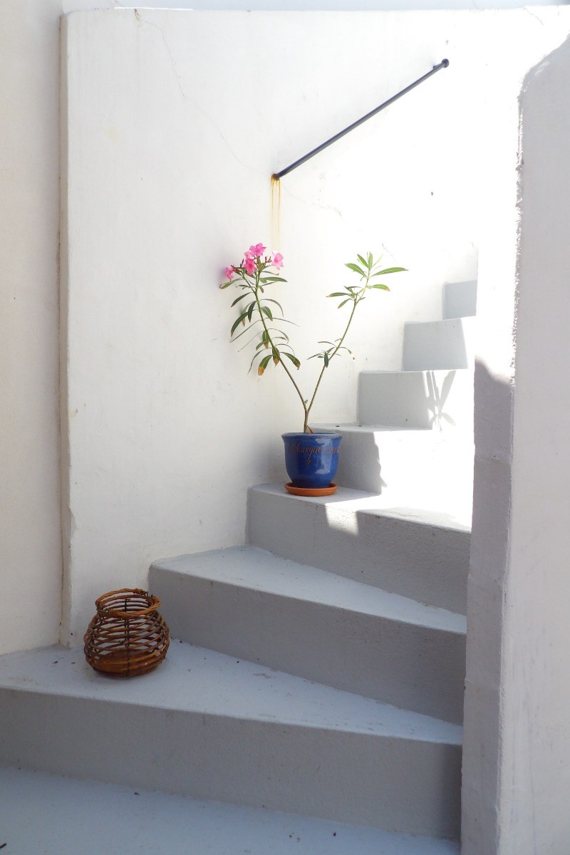 Photo n° 14 de la location
