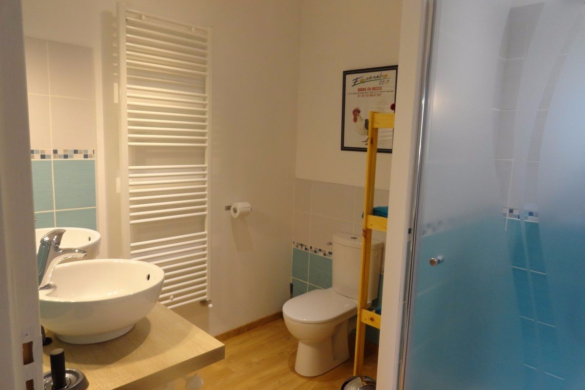Ferme Passion - Chambre Dombes - salle d'eau-VC