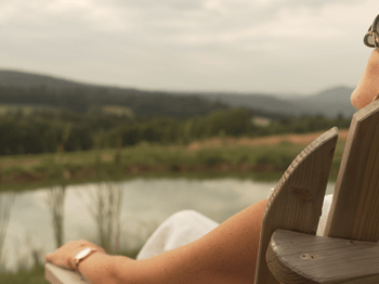 detente - renard - nature cottage vosges