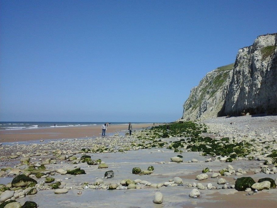 La côte d'Opale et ses falaises de craie