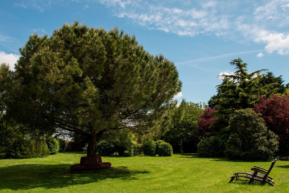 Parc de 2 ha, clos de murs