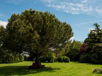 Parc de 2 ha, clos de murs