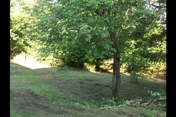 au fond du jardin, à l'abri des regards