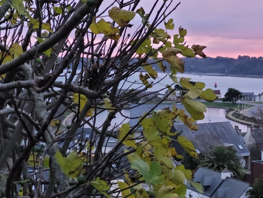 Photo n° 12 de la location