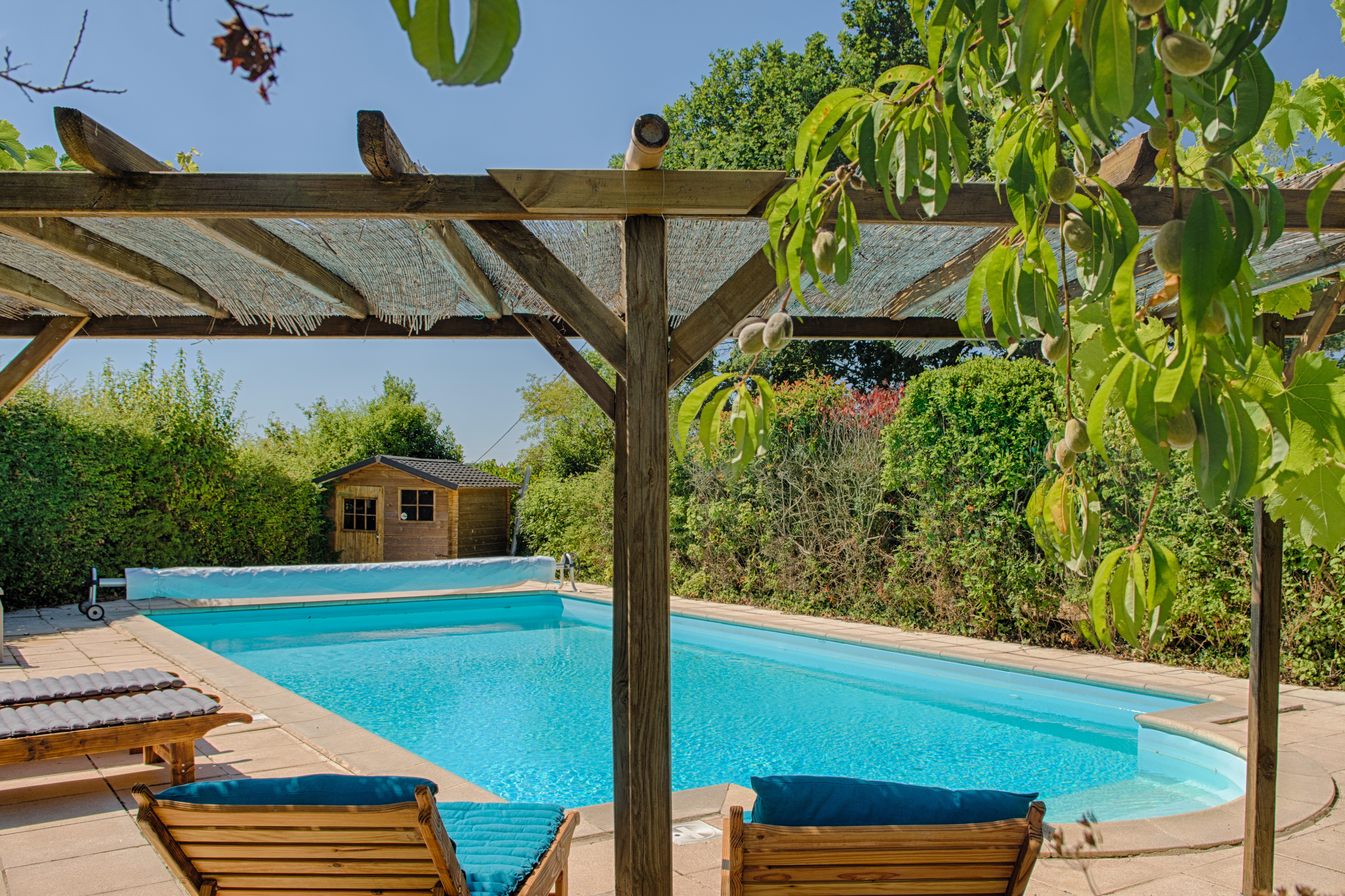 Photo n° 4 de la location