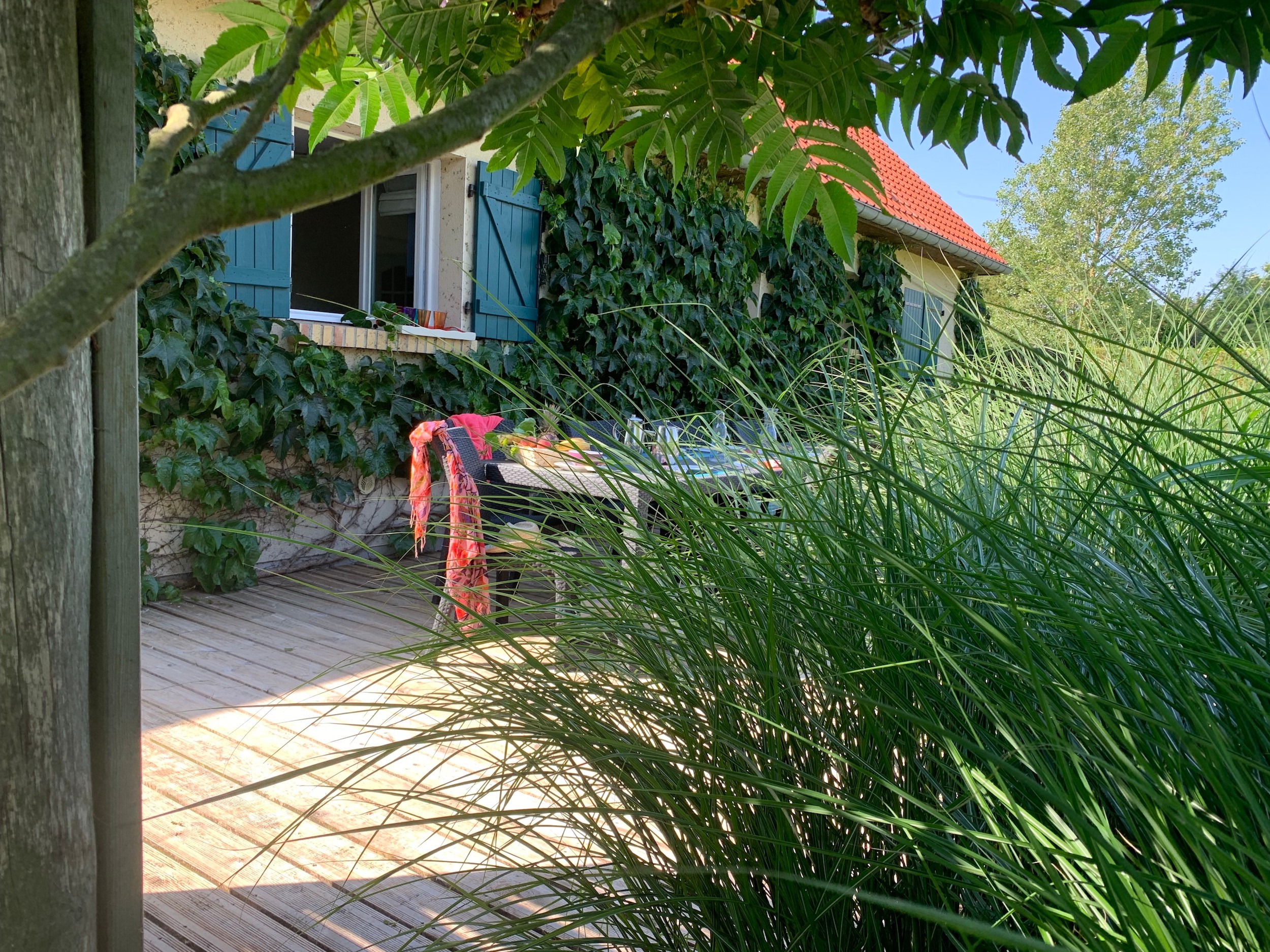 Summer morning on the terrace