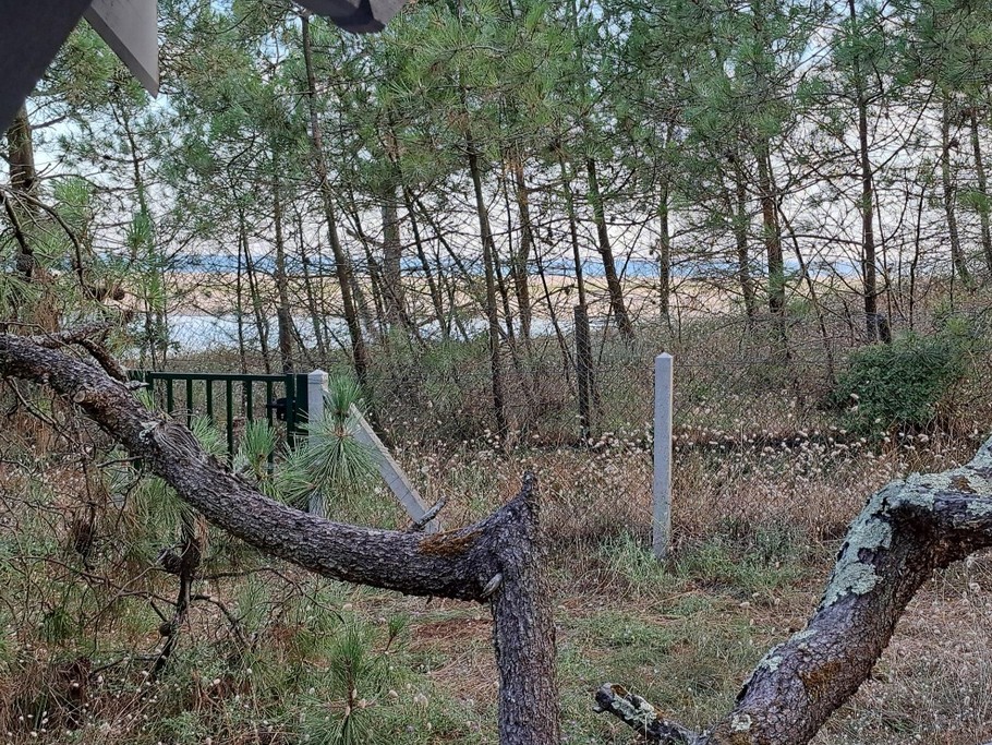 Vue sur la réserve naturelle de la Belle Henriette