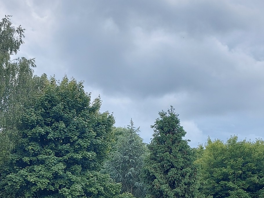 Photo n° 18 of the location