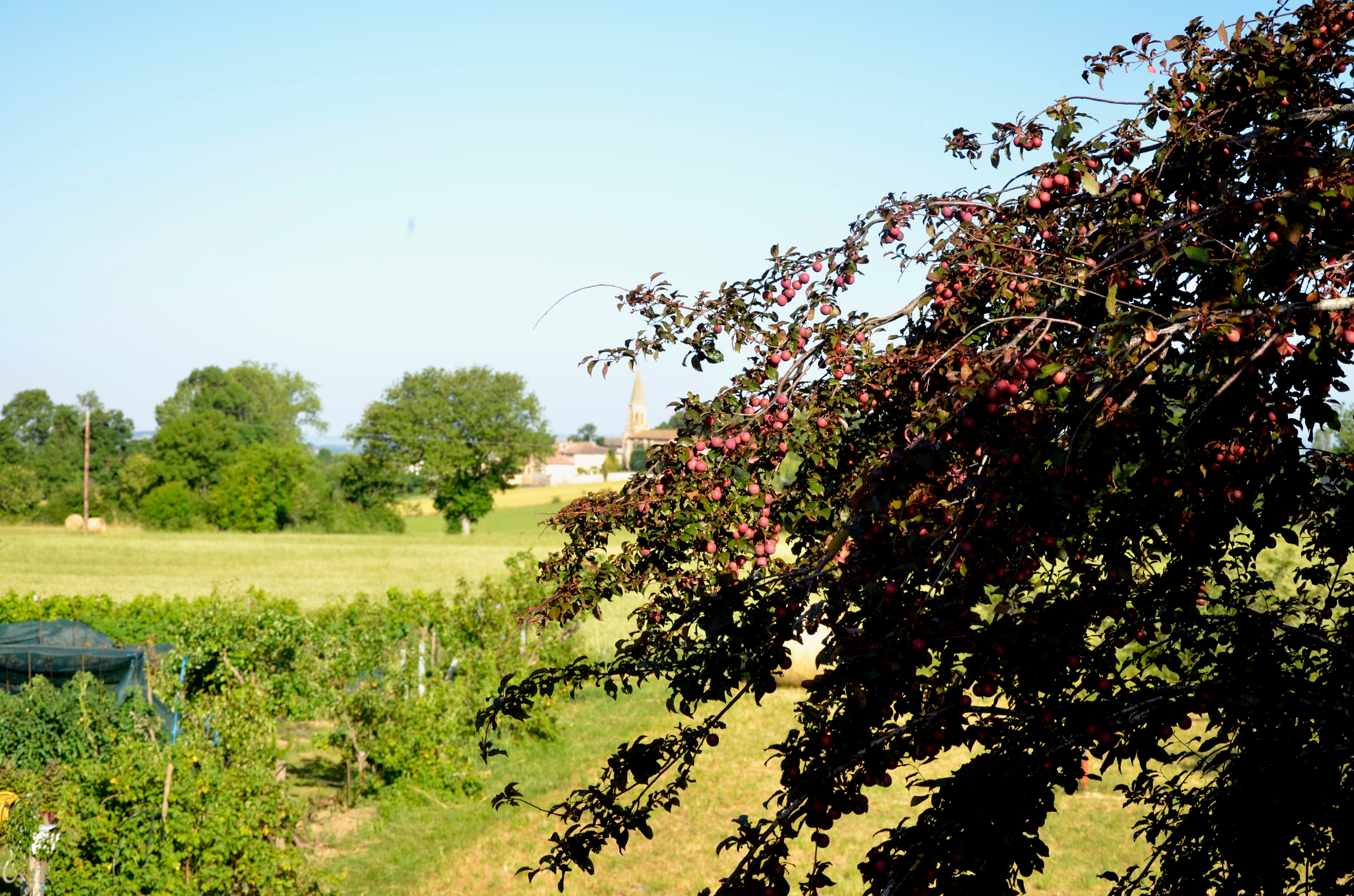Photo n° 17 of the location