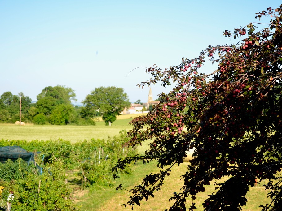 Photo n° 17 of the location