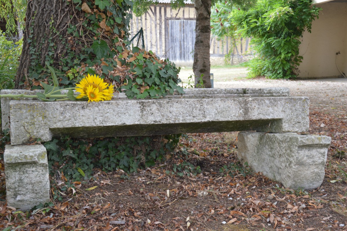 Photo n° 20 de la location
