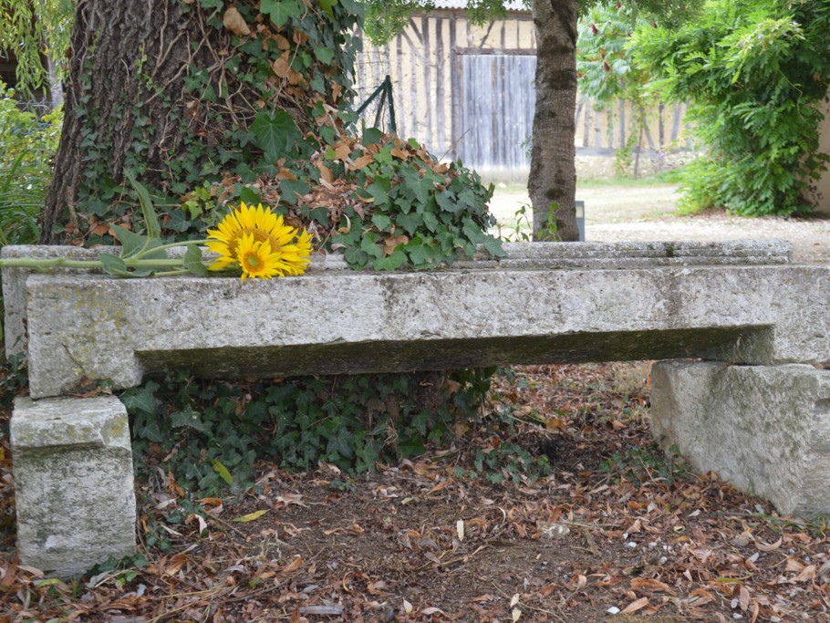 Photo n° 20 de la location