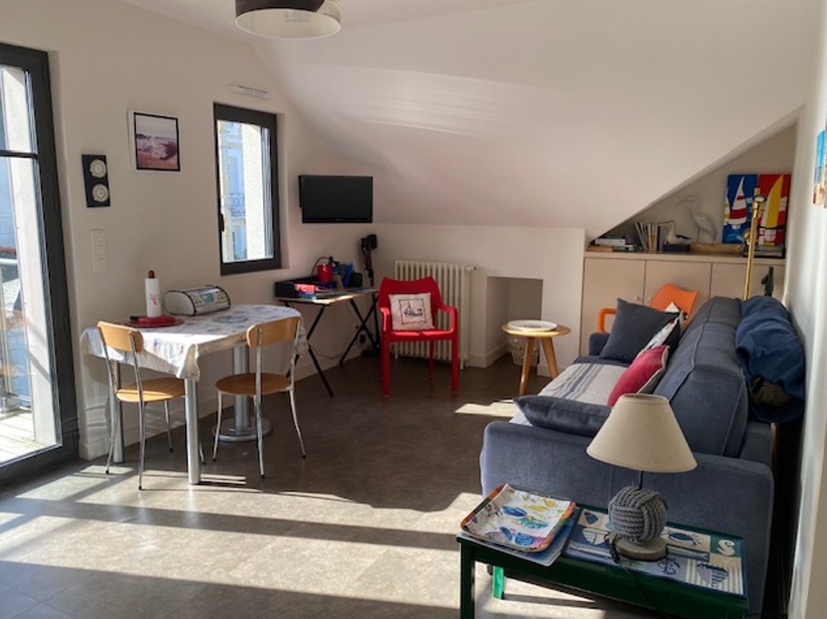 Studio with kitchenette on the left, comfortable convertible sofa bed 160 x 200 cm, dining table, desk, TV, storage space, private shower room and WC.
