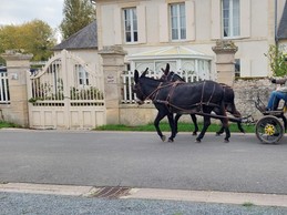 Vue sur rue