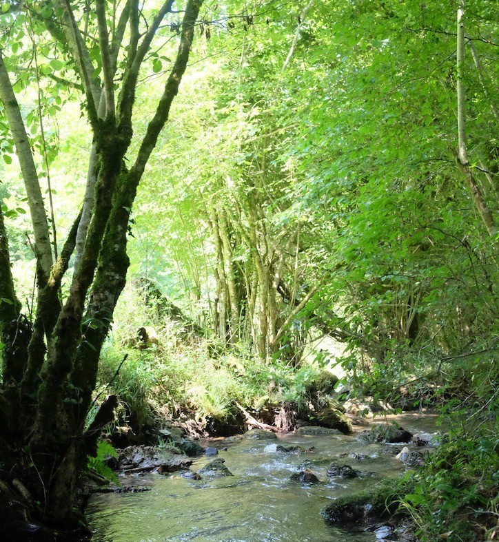 Photo n° 17 of the location