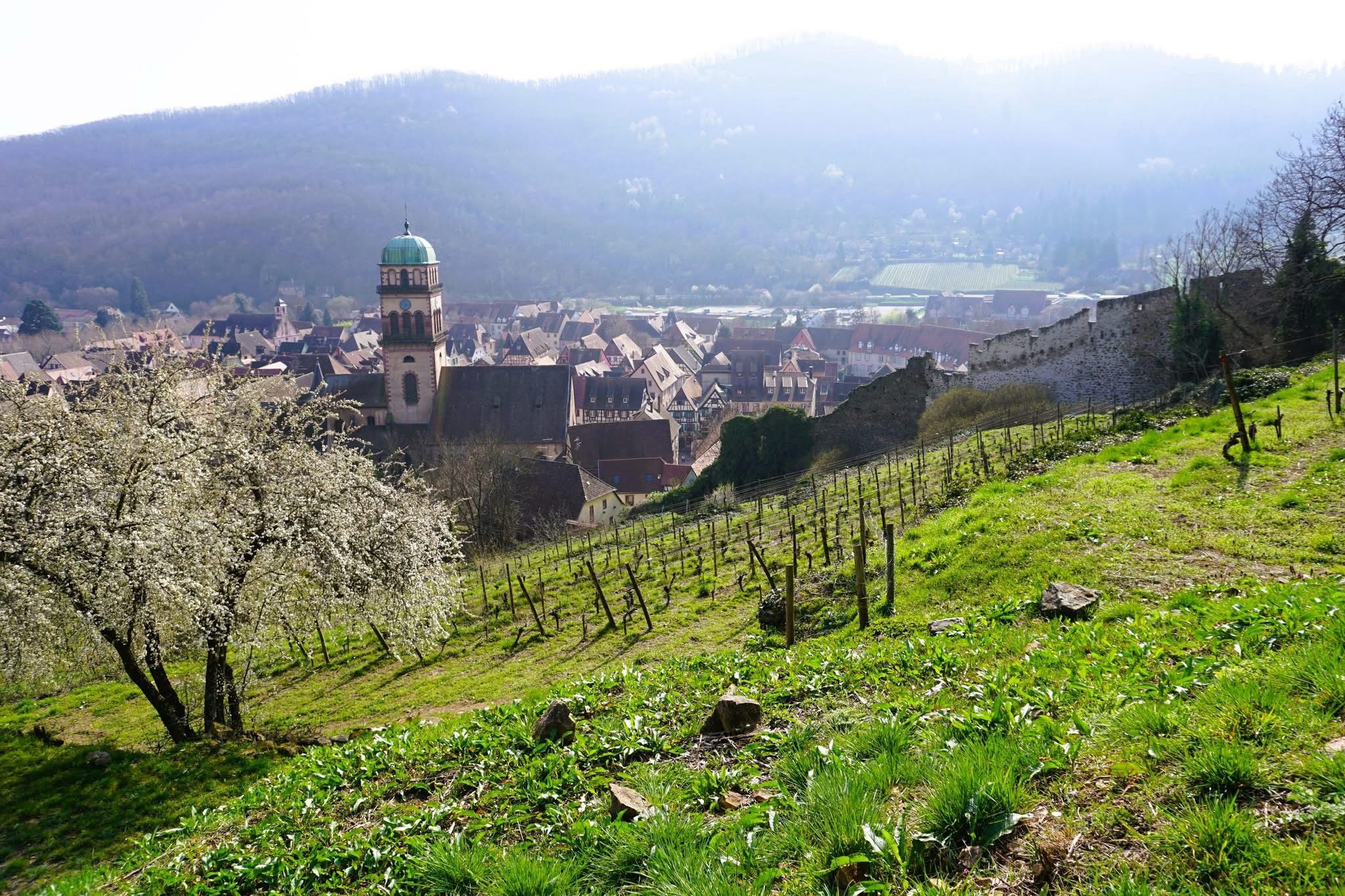 Photo n° 8 of the location