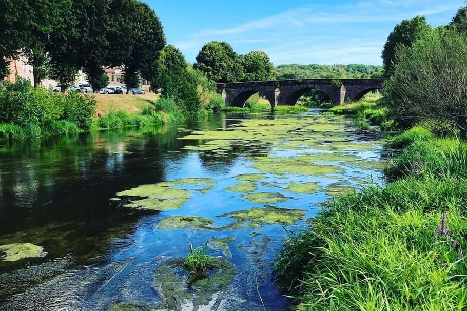 Mirecourt :ville du violon