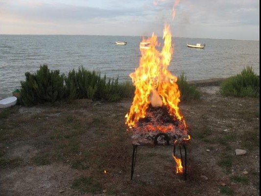 ECLADE DE MOULES, spécialité charentaise