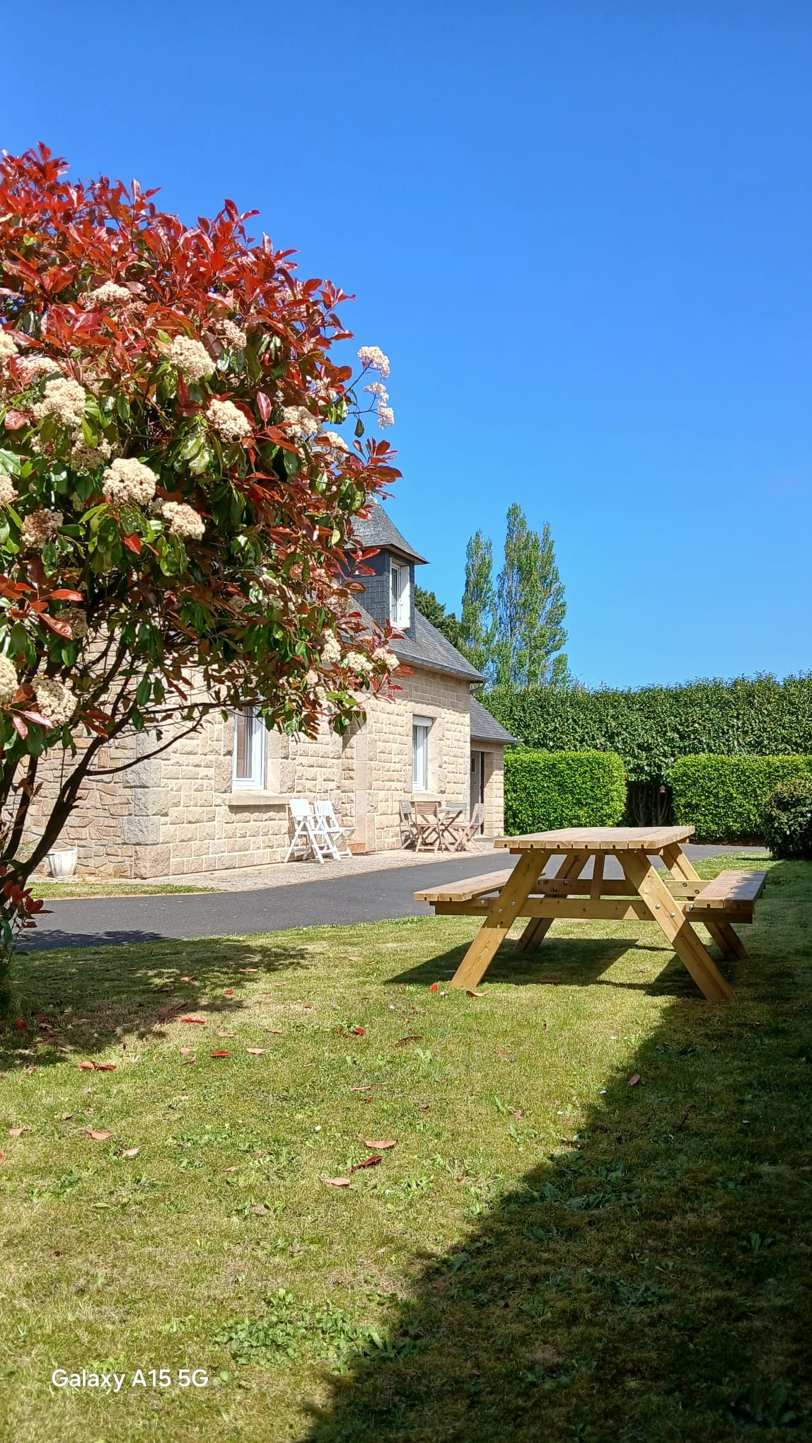 Photo n° 17 of the location