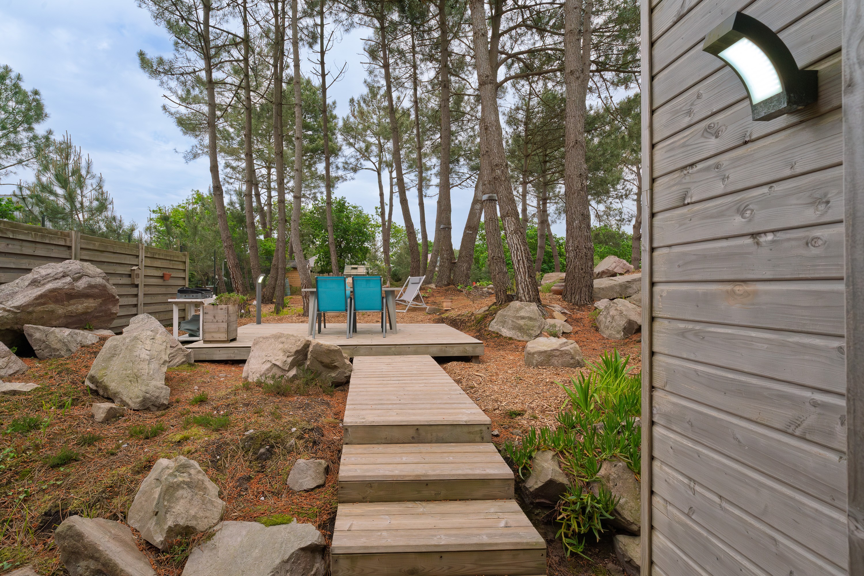 terrace in the pine forest