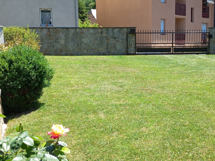 Parking herbeux pouvant contenir cinq voitures.