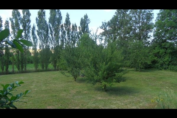 Le jardin