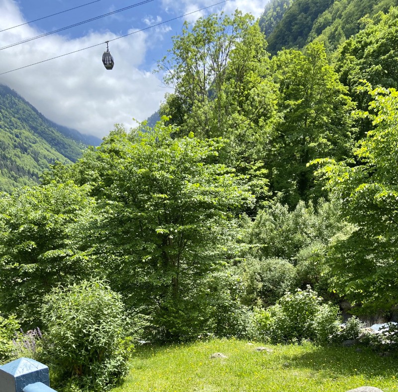 Une partie de la vue du balcon