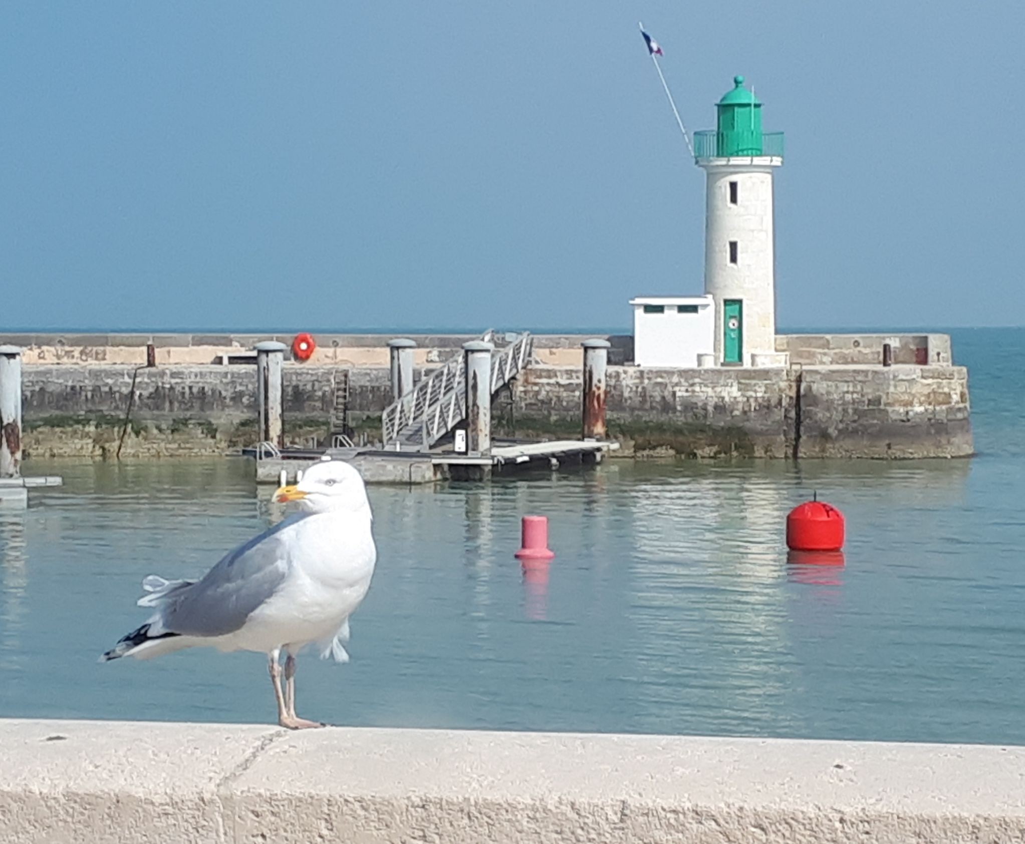 Vue sur L'entrée du port de La Flotte de L'ile de Ré, La Maison des Pêcheurs pour 2 personnes