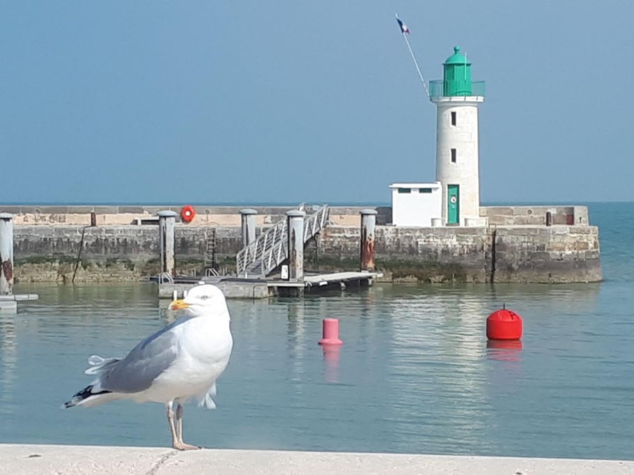 Vue sur L'entrée du port de La Flotte de L'ile de Ré, La Maison des Pêcheurs 1 pour 2 personnes