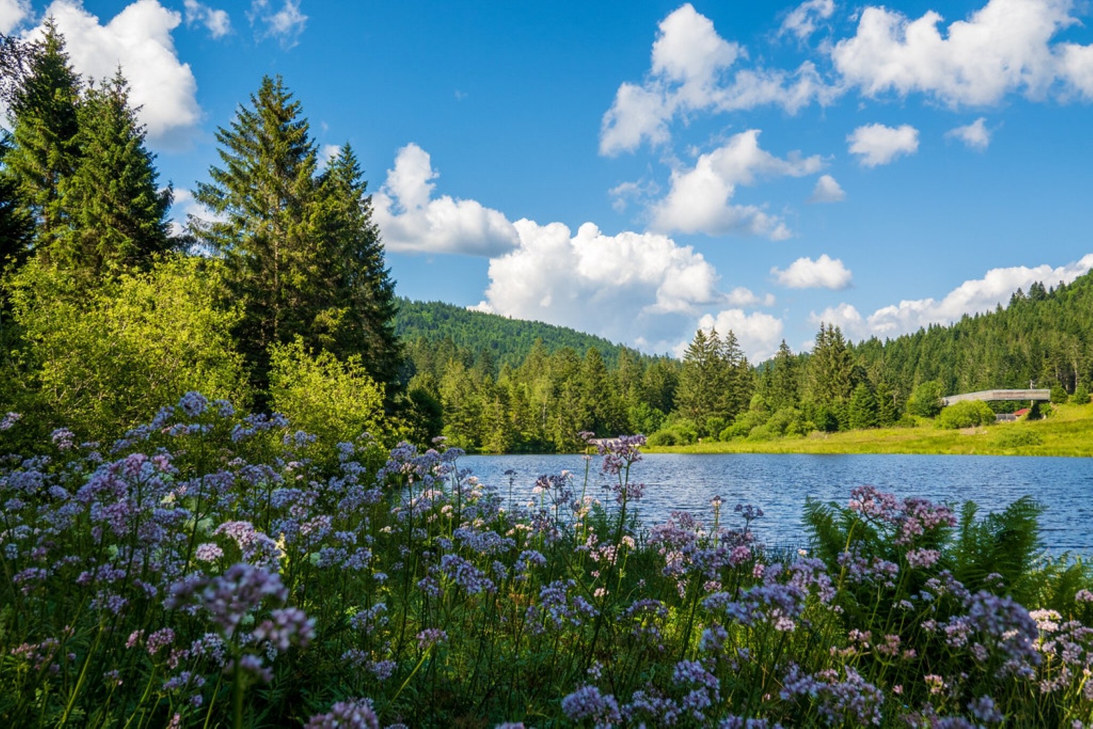 Lake Ténine © La Bresse Tourist Office