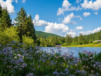 Lake Ténine © La Bresse Tourist Office