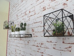 Image n° 4 de la location