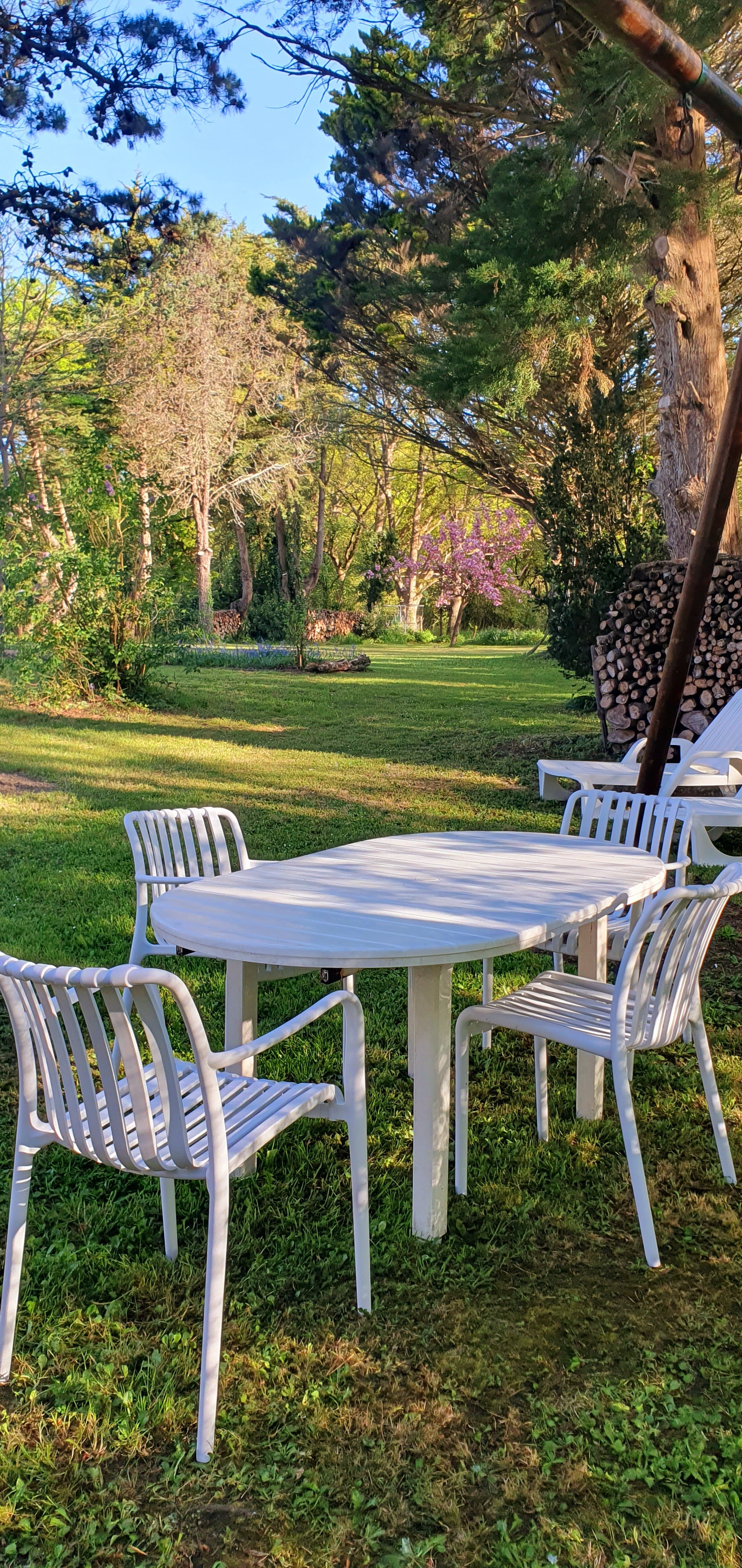 Photo n° 18 de la location