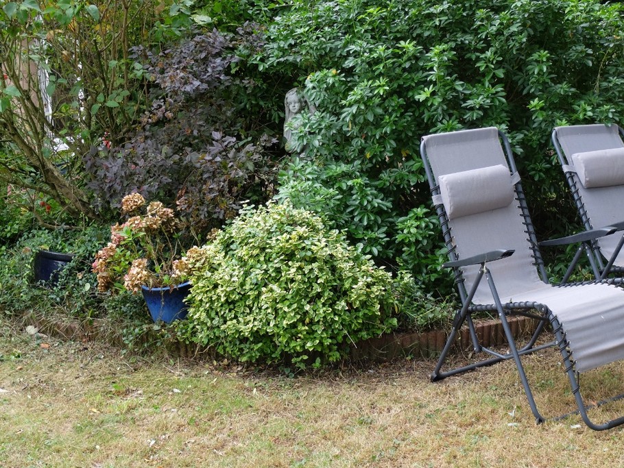 Jardin