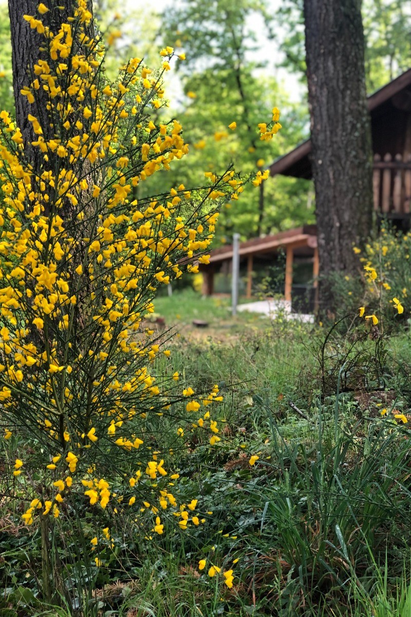 Photo n° 18 of the location