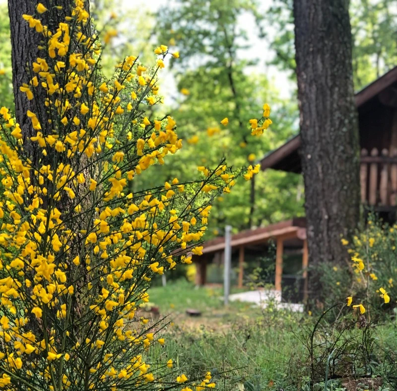 Photo n° 18 of the location