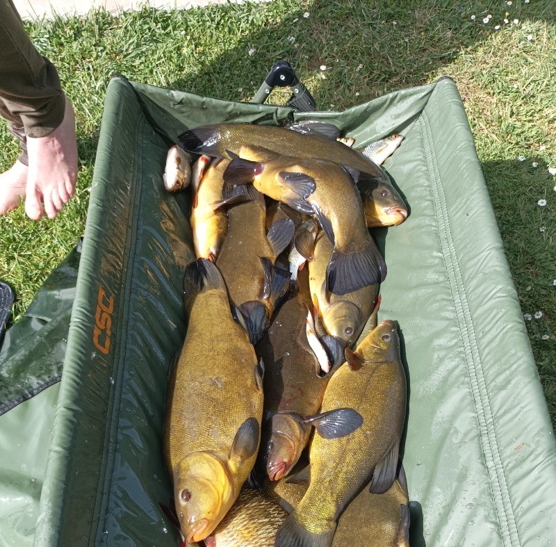 Pêche de vacanciers