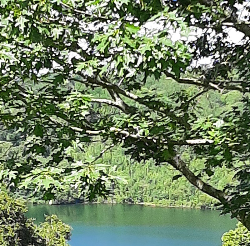 Photo n° 13 de la location