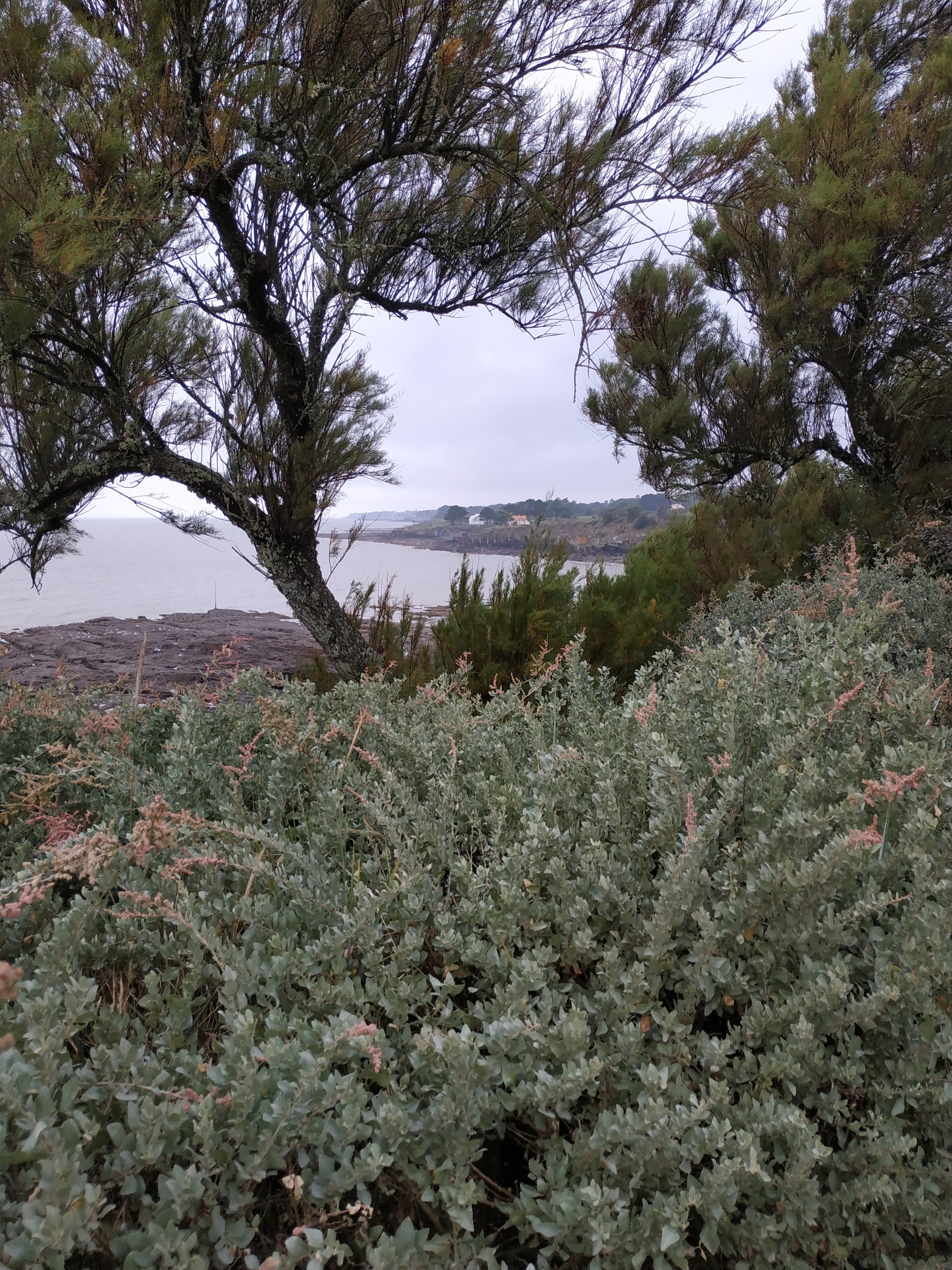 Photo n° 9 de la location