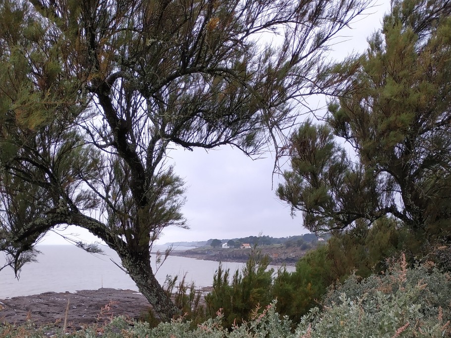 Photo n° 9 de la location