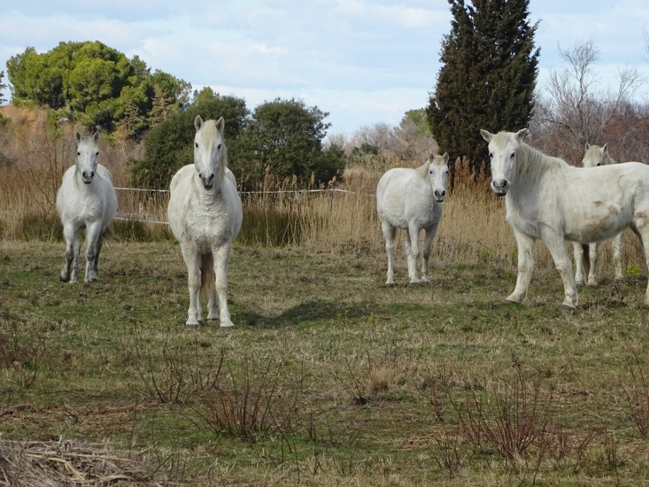 Photo n° 16 de la location