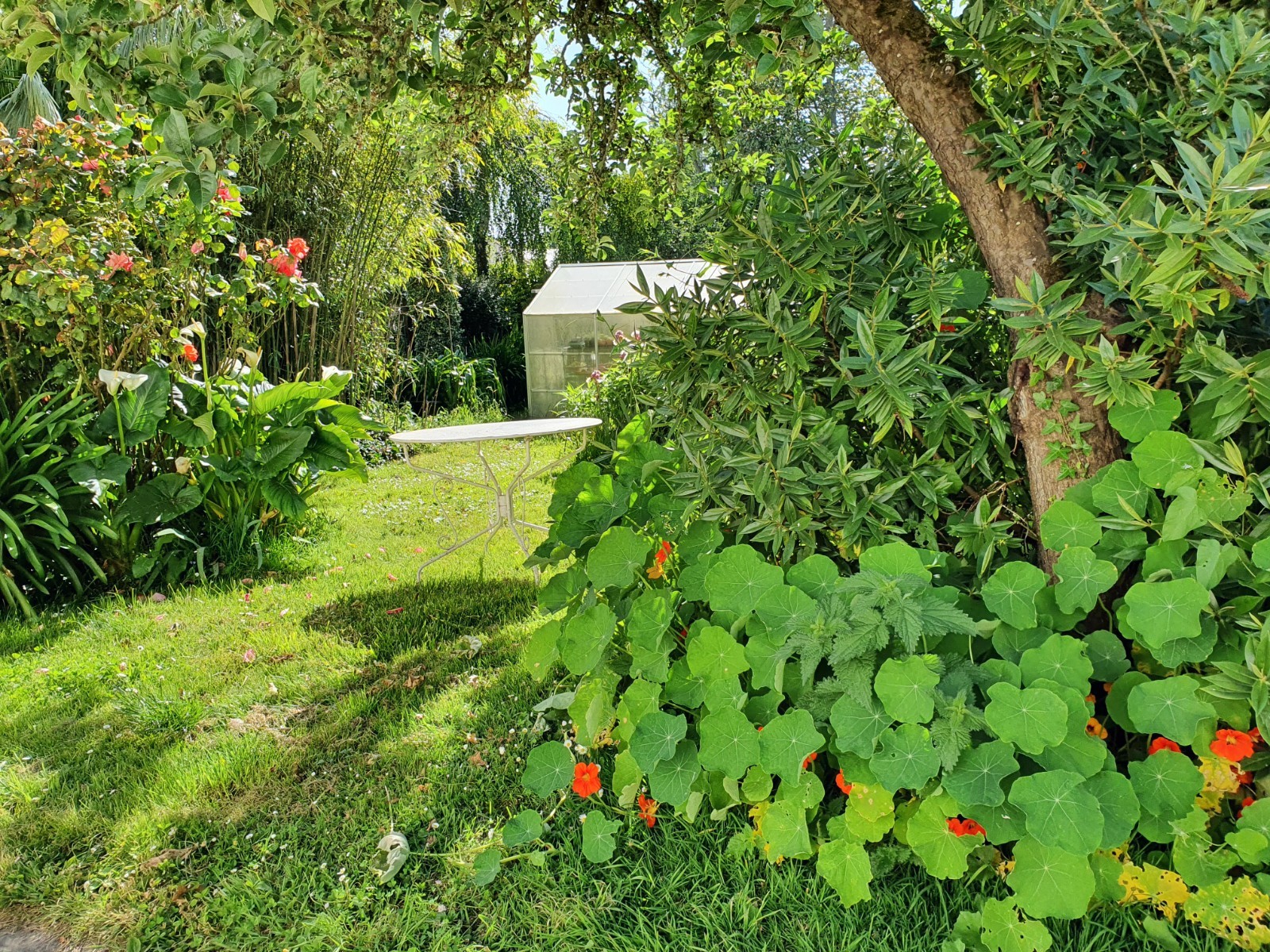 Photo n° 10 of the location