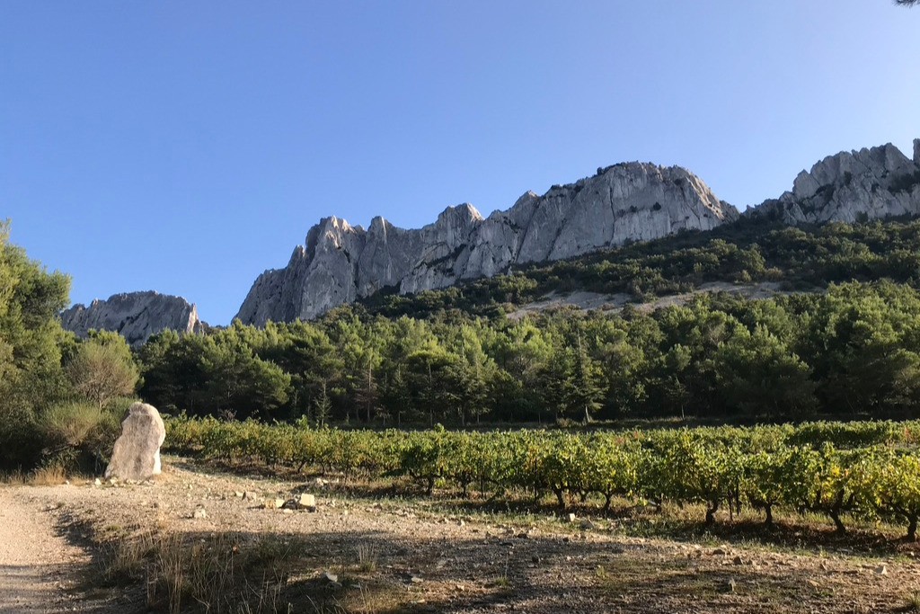 Les Dentelles de Montmirail ©F. De Gardebosc