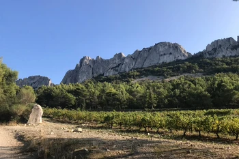 Les Dentelles de Montmirail ©F. De Gardebosc