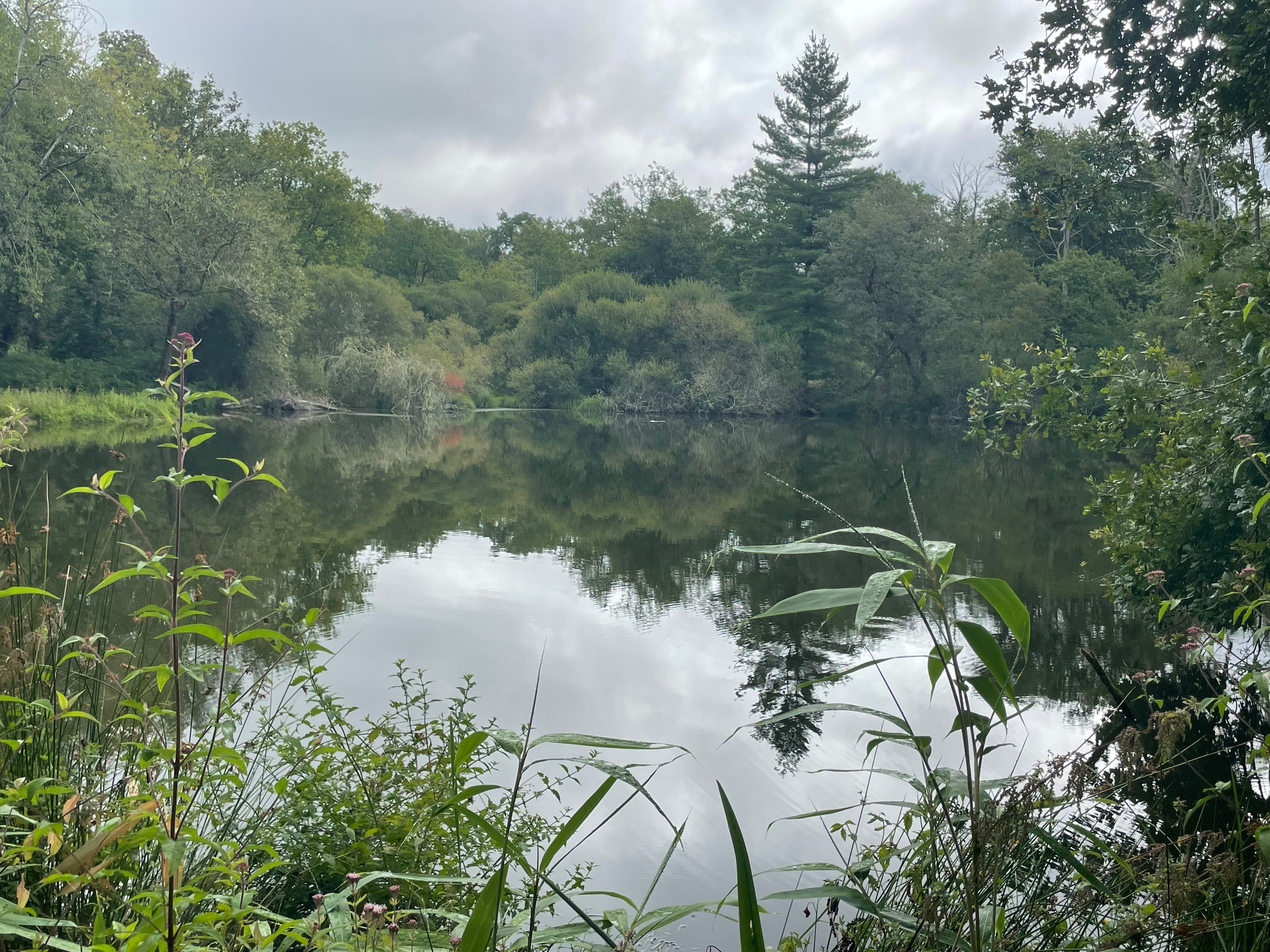 Gîte d'Hybère - Etang de la Koï