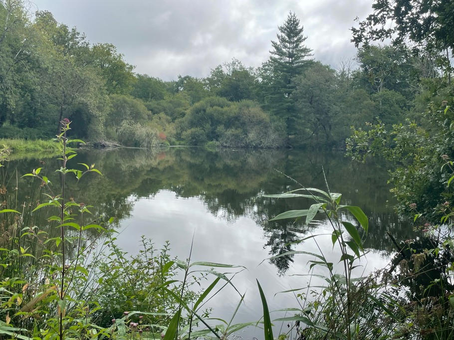 Gîte d'Hybère - Etang de la Koï